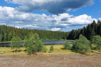 Diskussion um Löschwasser im Vogtland: Taugt ein Teich, der leicht radioaktiv belastet ist? - Der Schlemmteich in Gottesberg: Kann er bei Bränden als Löschwasserentnahmestelle dienen?