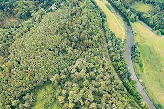 Döbeln: Valeriias Mörder soll die Neunjährige in einem Schlammloch erstickt haben - In diesem Waldstück an der Freiberger Mulde wurde Valeriias Leichnam gefunden. Tage danach nahm man den Ex-Freund der Mutter des Kindes als Tatverdächtigen fest.
