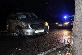 Dogde fährt gegen Baum -