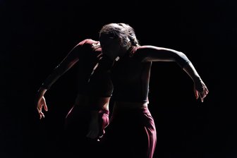 Doppelte Meisterschaft: Der Theaterfotograf André Leischner vom Theater Plauen-Zwickau triumphiert beim Weltfototag - Für dieses Foto mit den Tänzerinnen Veronica Sala und Kristina Kelly Zaidner wurde der Hausfotograf des Theaters Plauen-Zwickau, André Leischner, ausgezeichnet.