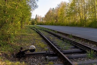 Dornröschenschlaf ist bald vorbei: Frachtzüge kehren ins Auerbacher Gewerbegebiet zurück - Das Bahngleis in das Gewerbegebiet Auerbach-West ist verwaist. Doch ab Mai sollen dort regelmäßig Holzzüge beladen werden.