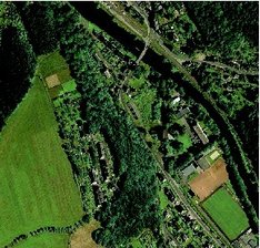 Kuhberg in Scharfenstein 