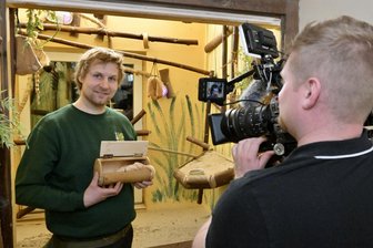 Dreharbeiten im Zoo der Minis in Aue: Warum sich ein Kamerateam für die kleinen Sugar Glider interessiert - Zootierpfleger Peter Hömke erklärt vor der Kamera, warum sich Sugar Glider nicht als Haustiere eignen.