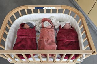Drei auf einen Streich: Geburtsstation Mittweida startet mit Babyboom ins neue Jahr - Kein Silvester- und kein Neujahrsbaby, dafür am 2. und 3. Januar gleich drei auf einen Streich: Marlo, Charlie und Maxwell (von links) erblickten in Mittweida das Licht der Welt.
