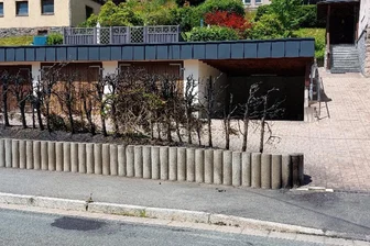 Drei Brände innerhalb von zehn Tagen in Zwota: Was sagt die Polizei dazu? - Die verbrannte Hecke an der Markneukirchner Straße in Zwota. In der Nacht zum Dienstag stand dort ein Papiercontainer in Flammen, das Feuer hatte auf die Hecke übergegriffen. Der Schaden beläuft sich auf mehr als 2000 Euro.