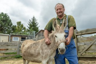 Drei Ponys vom Blitz getötet: Wie der Gnadenhof Ellefeld mit dem Verlust umgeht - Mit Eselin Sissi kann man Matthias Stark am Samstag zur Einkaufsnacht Auerbach treffen. Die Eseldame darf gestreichelt werden. Ein Reittier ist sie nicht. Das Kinderreiten fällt aus, nachdem drei Pferde vom Blitz getötet wurden.