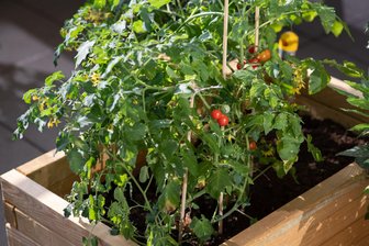 Drei Schichten, wenig Gewicht: Das kommt ins Balkon-Hochbeet - Für Balkone eignen sich vor allem Hochbeete aus Holz oder WPC, die nach unten hin geschlossen sind.