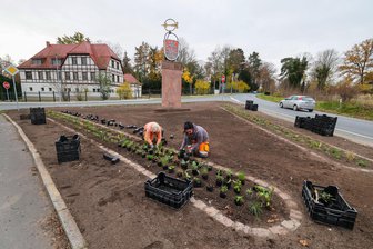 Dreieck-Fläche am Ortseingang von Meerane umgestaltet: Warum die Beleuchtung an der Stele mit dem Stadtwappen noch fehlt - Mitarbeiter der Stadttechnik haben die Dreieck-Fläche neu gestaltet. Nur die neue Beleuchtung fehlt noch.