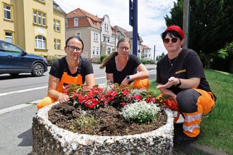 Dreist: Diebe stehlen Sommerbepflanzung in Hohenstein-Ernstthal - Jana Herold, Kristin Oertel und Anja Keller (von links) an einem ruinierten Pflanzkübel.