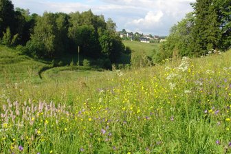 Dreiteilige Dokureihe zeigt in Limbach-Oberfrohna den Zustand der heimischen Natur - Eine dreiteilige Filmreihe zeigt in Limbach-Oberfrohna den Zustand der regionalen Natur.