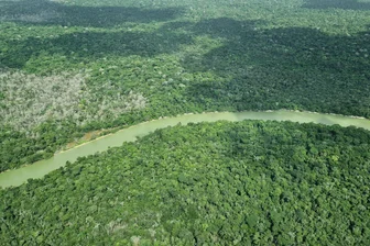 Dresdner Philharmonie mit Hommage an den Regenwald - Die Dresdner Philharmonie hat für eine  musikalische Hommage an den Regenwald im Amazonas-Gebiet viel Beifall bekommen. (Archvbild)