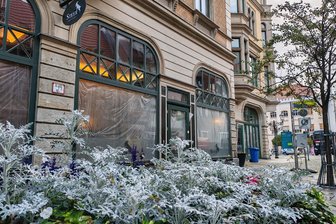 Drinnen brennt wieder Licht: Was tut sich im geschlossenen Almgasthof am Zwickauer Hauptmarkt? - Der Gastro-Standort am Hauptmarkt hat seit der Wende schon etliche Betreiberwechsel erlebt.