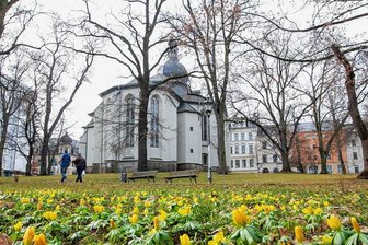 Drogenkonsum in Plauen: Was die Stadt dagegen tun will - Der idyllische Schein trügt. Während die Winterlinge blühen, wird im Lutherpark mit Drogen gedealt.