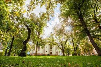 Drogenkontrollen im Plauener Lutherpark: Polizei legt aktuelle Zahlen vor - Grünes Idyll in der Innenstadt: der Lutherpark. Zuletzt haben Passanten dort hin und wieder Drogenhandel und -konsum beobachtet.