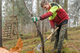 Droht dem Forst ein Fachkräftemangel? - Waldarbeit im Erzgebirge ist trotz vielfältiger Technik immer noch ein Knochenjob: Hier arbeitet Forstwirt Marcel Knüpfer mit einer sogenannten Heppe im Waldteil Börnichen des Forstreviers Borstendorf.