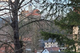Droht dem Museum auf Schloss Schönfels das Aus? - Weithin sichtbar erhebt sich die Burg über das im Tal liegende Schönfels.