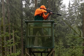 Drückjagd am Fichtelberg - Im Fichtelberggebiet finden derzeit Drückjagden statt. Damit soll der Wildtierbestand reguliert werden.