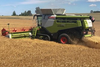 Düngeauflagen: Warum nicht mehr überall Backgetreide wächst - Getreideernte auf einem Feld bei Grimma. In nitratbelasteten Gebieten muss umgedacht werden.