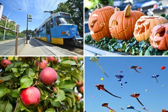 Dunkle Cosplayer, alte Tatra-Bahnen und Äpfel, Äpfel, Äpfel: Sieben Tipps für das Wochenende in Chemnitz - Das Wochenende in Chemnitz hat viel im Angebot.