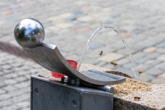 Durstige Bienen fliegen in Scharen Plauener Rathausbrunnen an - Bienen und Wespen sind derzeit dankbar über jede Wasserstelle wie diesen Trinkbrunnen vor dem Rathaus.