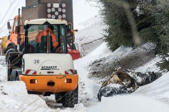 Dutzende tote Tiere auf Anwesen im Erzgebirge entdeckt - Mit einem Radlader wurden die Kadaver nach der Bergung zu einem Ablageort am Wegrand gebracht.