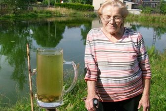 Ebersbrunn: Fischsterben gibt Rätsel auf - Annemarie Hübner kann es nicht fassen. Das einst glasklare Wasser ihres Teiches hat sich in eine ekelig trübe Brühe verwandelt.