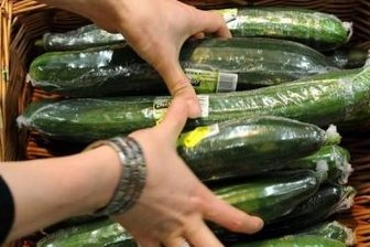 EHEC-Erreger auf spanischen Salatgurken entdeckt - Eine Verkäuferin nimmt in einem Supermarkt im schleswig-holsteinischen Hohenwestedt spanische Salatgurken aus dem Verkaufsregal. Das Hamburger Hygiene-Institut hat Salatgurken aus Spanien als Träger der gefährlichen EHEC-Erreger identifiziert.