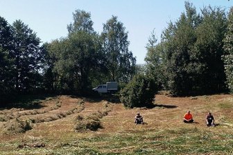 Ehrenamtsplattform in Westsachsen: Helfer für 49 Angebote gesucht - Auch die Kulturlandschaft braucht Pflege. Über die Naturschutzstation kann man mithelfen. 