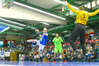 EHV Aue bezwingt DJK Rimpar - 