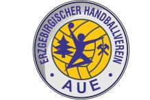 EHV Aue gibt Spiel in der Schlussphase aus der Hand -