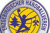 EHV Aue holt zu Hause einen Punkt - 