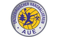 EHV Aue kassiert deutliche 19:41-Niederlage in Bietigheim -