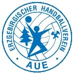 EHV Aue unterliegt beim Drittligisten Dessau-Roßlauer HV - 