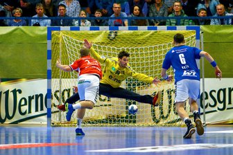 Der EHV Aue hat am Samstag sein Heimspiel gegen HSV Hamburg gewonnen.