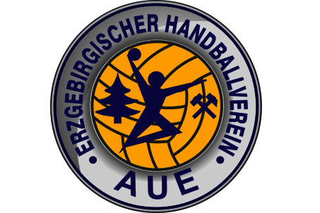 EHV Aue verliert Test in Dessau - 