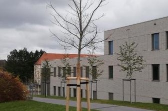 Eiche zu Ehren von Stifterin gepflanzt - Erika Pohl-Ströher hatte ihre private Kollektion von Mineralstufen 2004 der Freiberger TU als Dauerleihgabe überlassen. Jetzt wurde ihr zu Ehren diese Eiche gepflanzt.