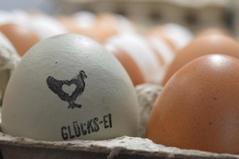Eier, Likör und Nudeln: Frisches vom Bauernhof Zeidelweide kommt nach Rodewisch - Eier von glücklichen Hühnern gibt es jetzt jeden ersten Samstag im Monat in Rodewischs City zu kaufen.