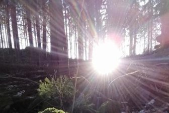 Ein besonderer Moment - 