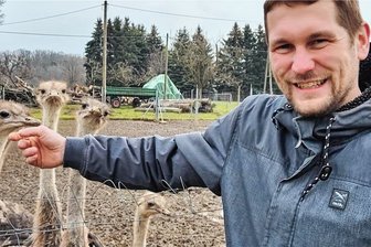 Ein bisschen wie in "Jurassic Park": Der Strauß im Striegistal - Marcus Reißig mit seinen Straußenhennen. Die Tiere sind von Natur aus neugierig. 