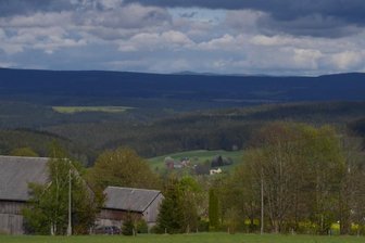 Ein Blick mit Erinnerung an einen lieben Menschen -