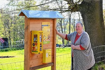 Ein ehemaliger Kaugummi-Automat in Glösa soll Bienen retten - Ein umfunktionierter Kaugummi-Automat, in dem jetzt Blumensamen verkauft werden: Für dieses Projekt zur Bienenrettung haben sich Kerstin Pätzold und weitere Mitstreiter vom Verein "Gemeinsam für Glösa" eingesetzt. 