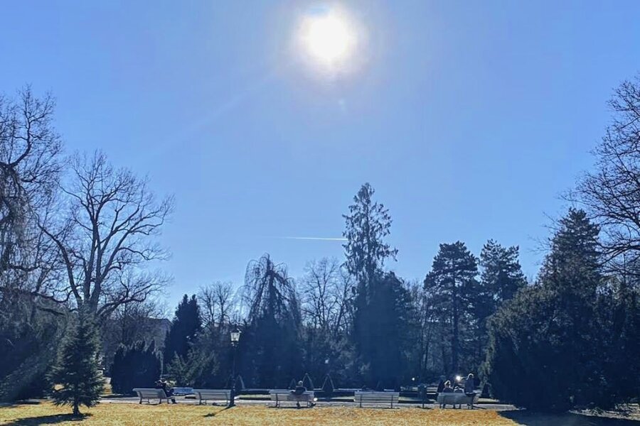 Ein Frühlingstag im Februar im Albertpark von Freiberg - Viele Freiberger genossen ein Sonnenbad auf einer Parkbank im Albertpark. 