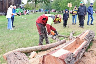 Ein irrer Duft von frischem Holz: Holztag in Eubabrunn erweist sich als Besuchermagnet - John Hahn vom Staatsbetrieb Sachsenforst sägte die Abflussrinne für einen Wassertrog.