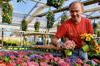 Ein irrer Duft von frischen Blumen - 