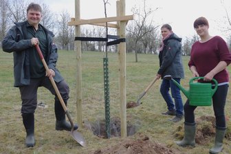 Ein „Minister“ schlägt in Oederan seine Wurzeln - Jörg Semmig, Katrin Wendlandt und Anja Lange (v.l.) vom Landschaftspflegeverband Mulde/Flöha haben auf der Schusterwiese Oederan die nächsten Obstbäume gepflanzt.