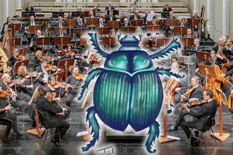 Ein Mistkäfer entdeckt die Welt und die Musik – am 25. und 26. Januar im Vogtlandtheater -