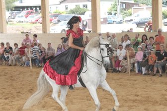 Ein Nachmittag für Kinder und Pferdefreunde: Sommerfest in Schönheide - Beim Sommerfest zeigen Mensch und Pferd, was sie können.