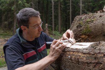 Ein neuer Forst-Fachmann für den Geyerschen Wald: Was ein junger Erzgebirger für Pläne hat - Martin Moßig ist als neuer Stadtforstleiter für den gut 1200 Hektar großen Geyerschen Wald zuständig. Was Borkenkäferbefall für gravierende Folgen haben kann, hat er etwa in Thüringen erlebt. Auch im Geyerschen Wald hat die Bekämpfung der Käfer momentan Priorität.