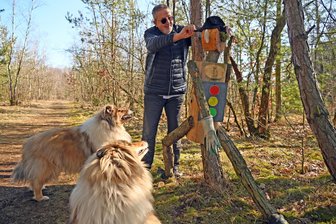 Ein Statement? Ein Kunstprojekt? Metallurge Heinz Baacke sorgt mit seinen Holzfiguren in Halsbrücke für Gesprächsstoff - Heinz Baacke richtet die Figur des gegen einen Baum laufenden Ampel-Burschen. Ivi und Ole, Hunde der Nachbarn, kennen die Holztypen schon längst.
