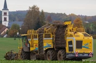 Ein Tiger frisst sich durch Felder - Der Tiger, die als stärkste Rüben-Rodemaschine gilt, bei Callenberg im Einsatz.